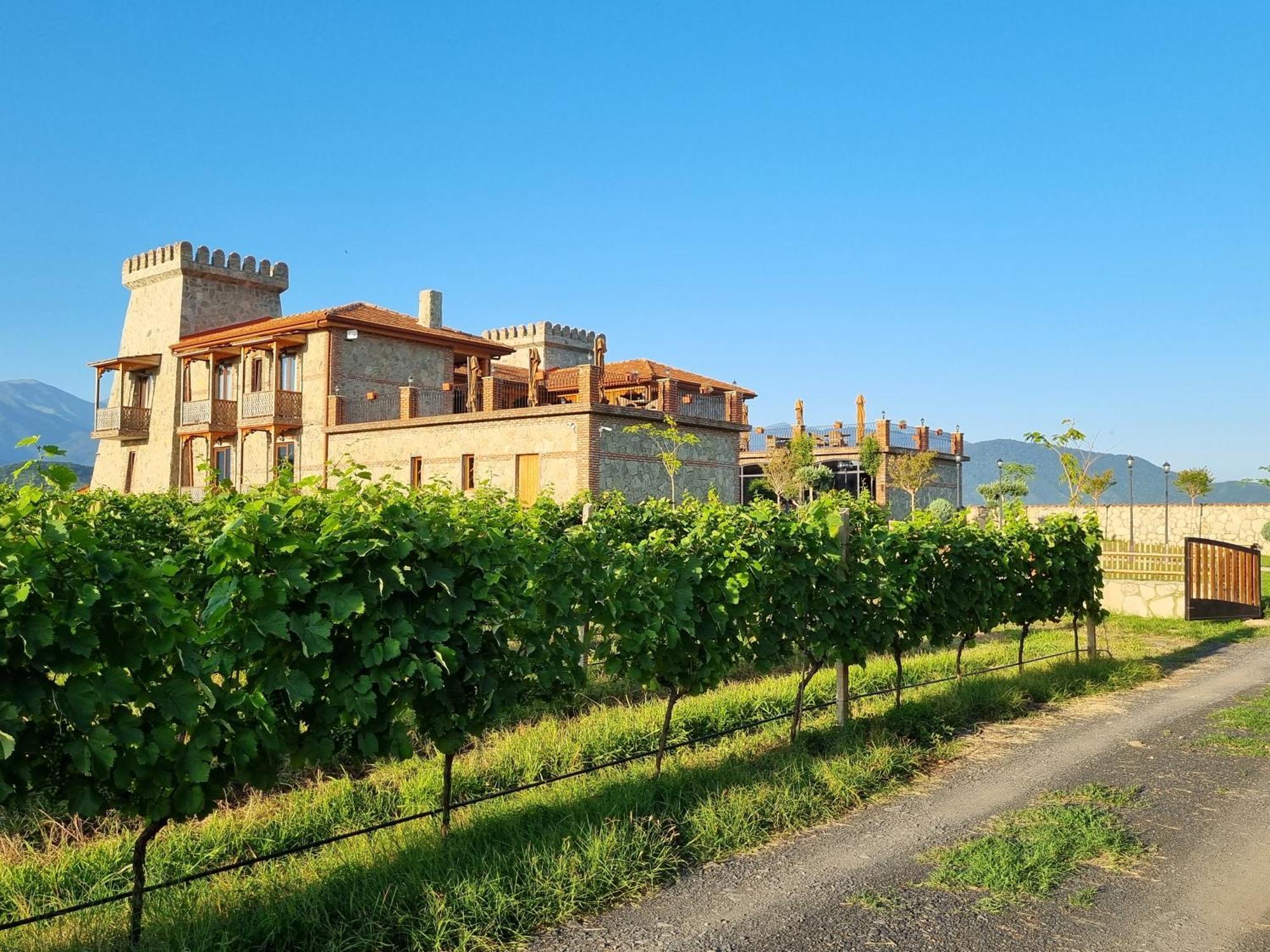 Chateau Davitiani Shilda Exterior foto