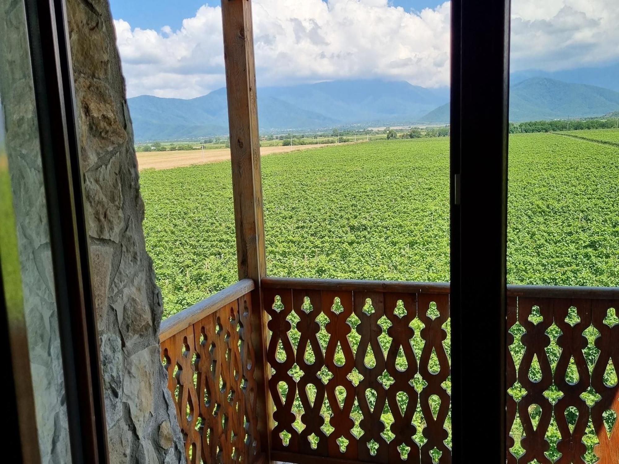 Chateau Davitiani Shilda Quarto foto