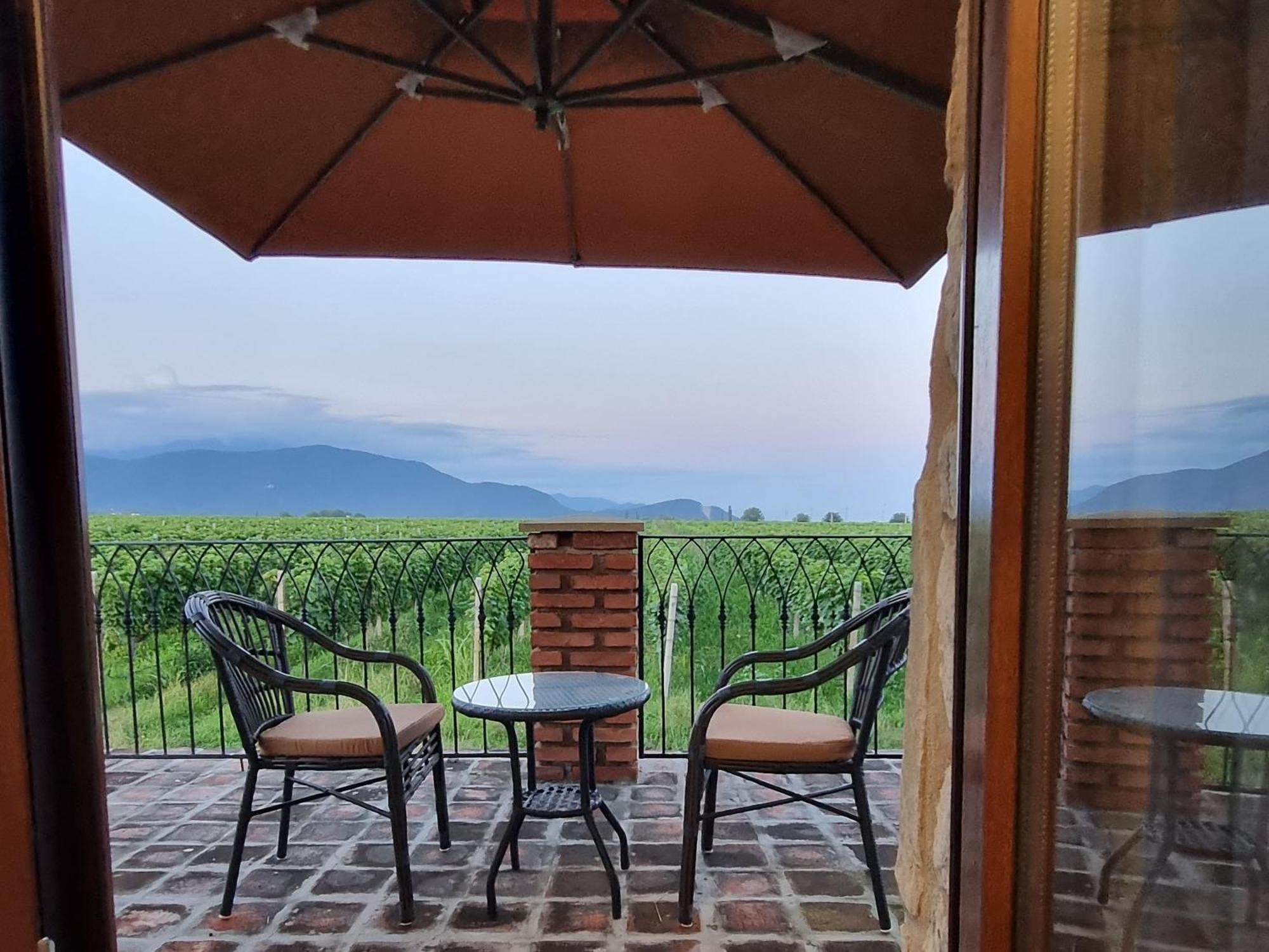 Chateau Davitiani Shilda Quarto foto