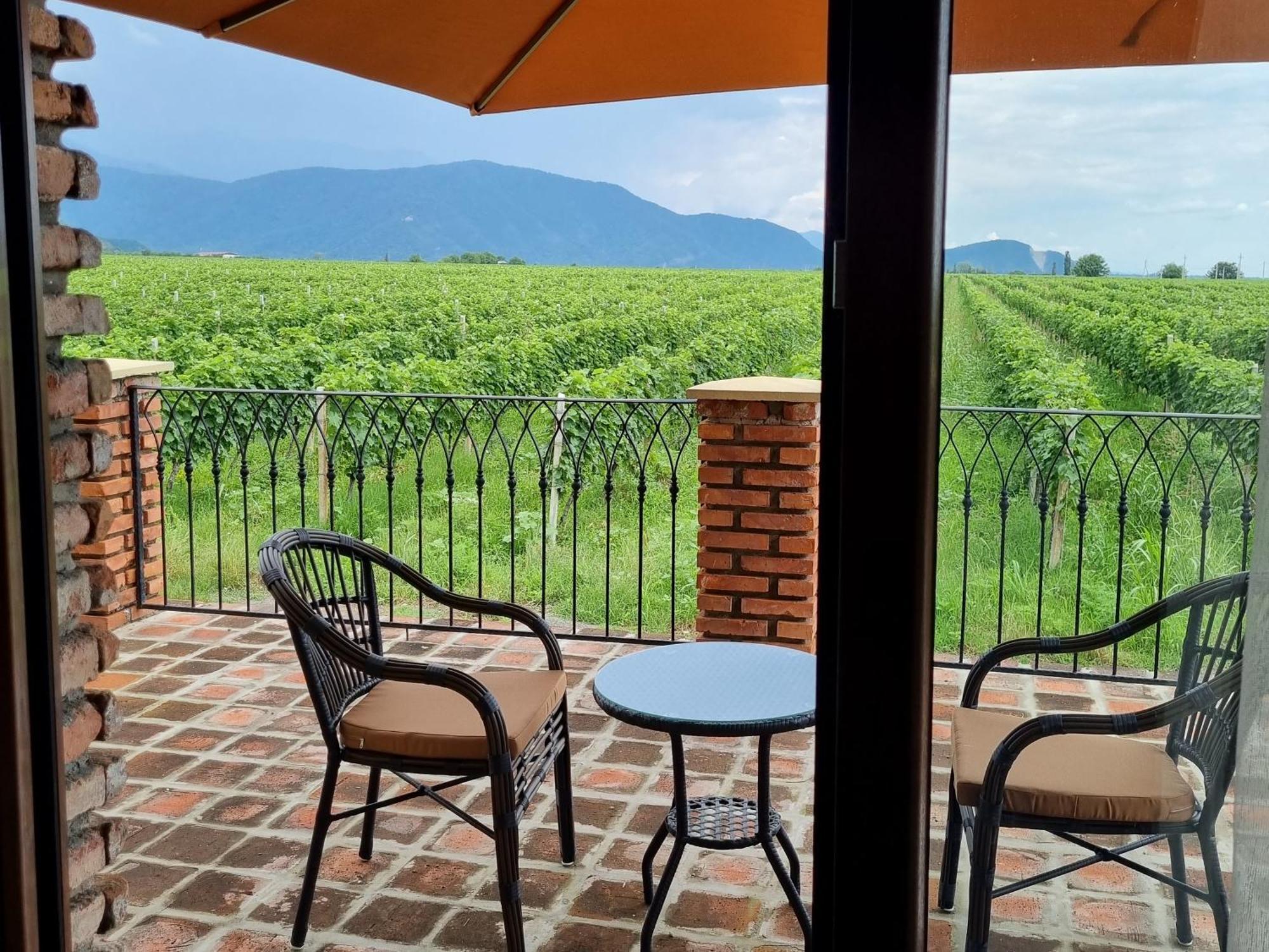 Chateau Davitiani Shilda Quarto foto