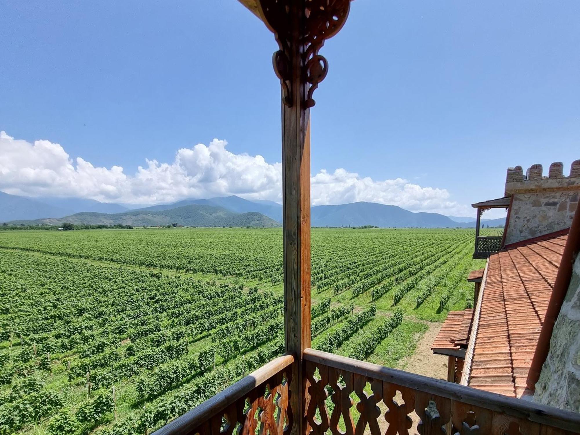 Chateau Davitiani Shilda Quarto foto