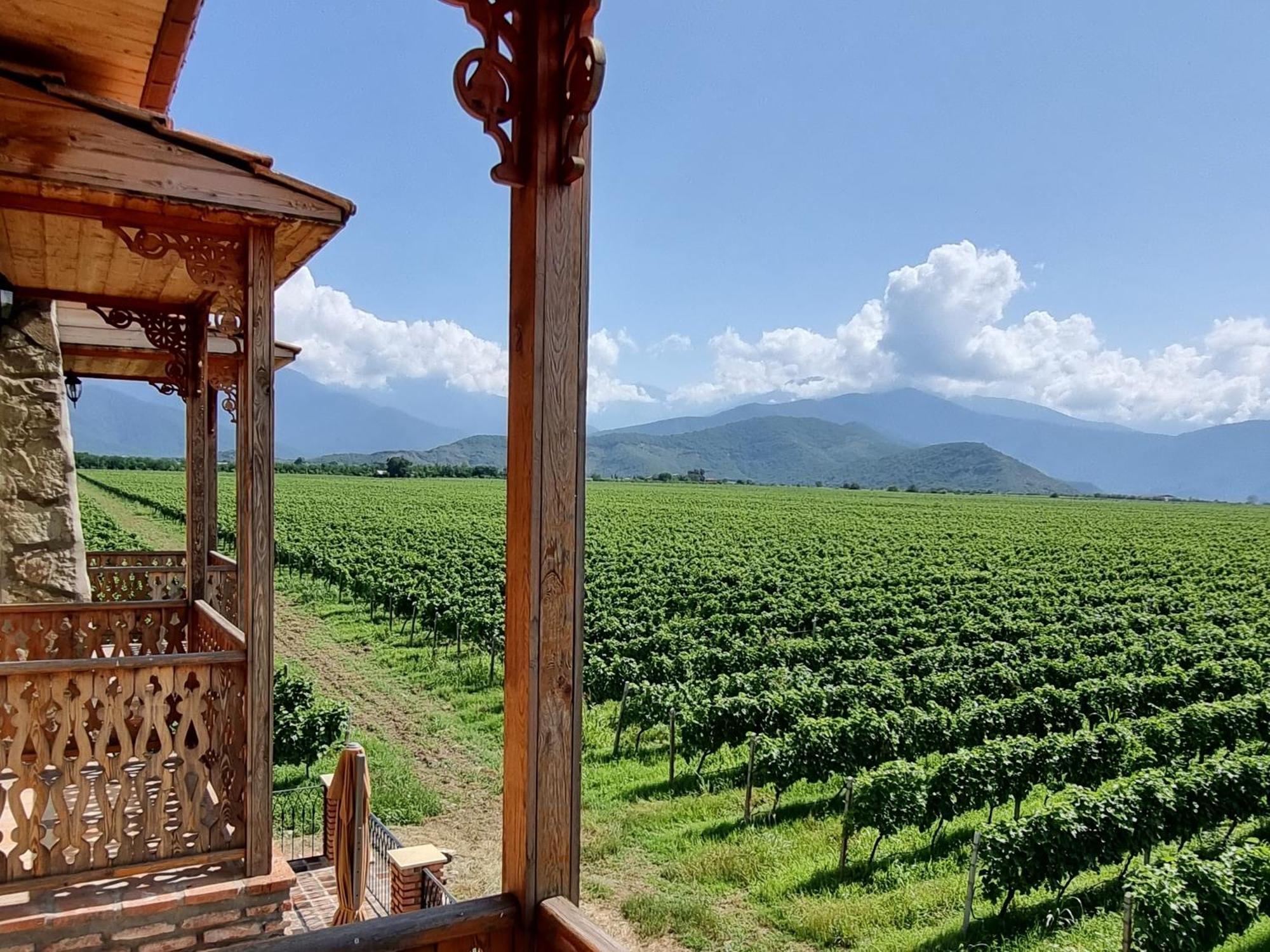 Chateau Davitiani Shilda Quarto foto
