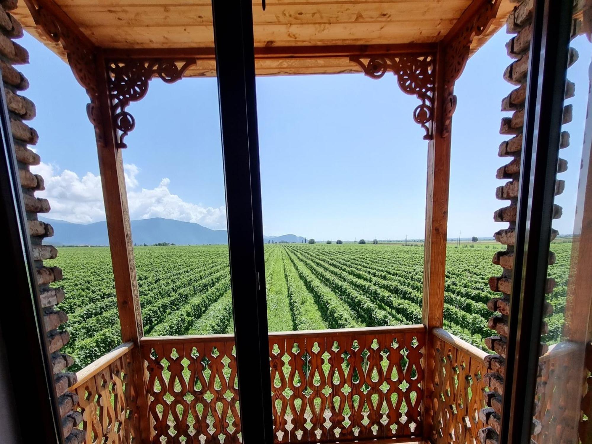 Chateau Davitiani Shilda Quarto foto