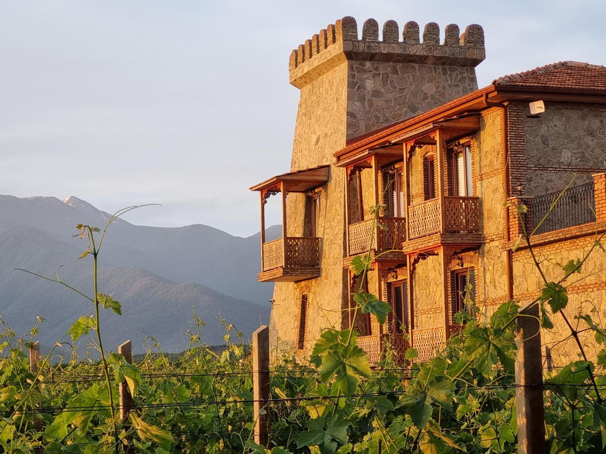 Chateau Davitiani Shilda Exterior foto